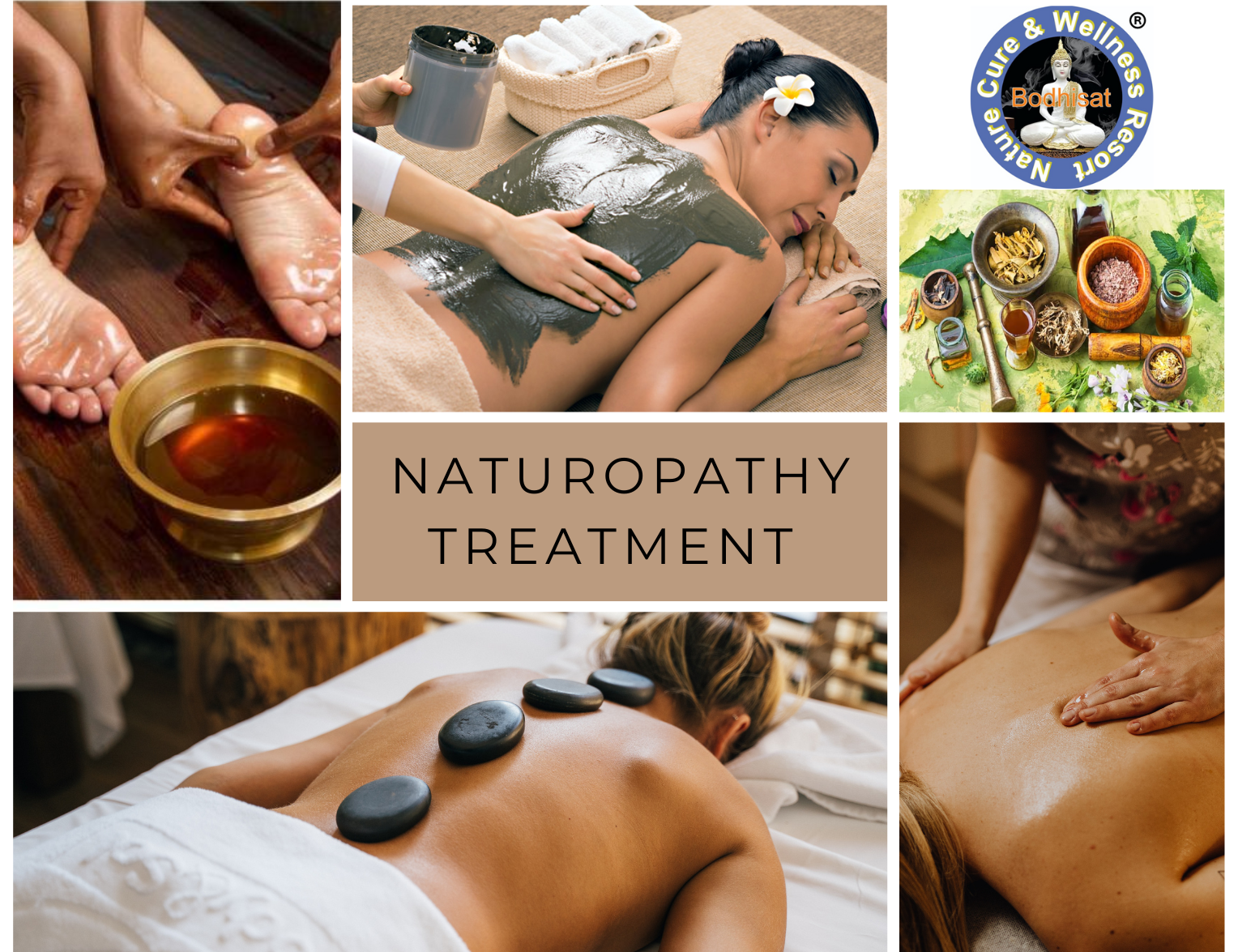 Bodhisat Nature Care and Wellness Resort India